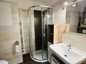 Pronájem bytu 1+kk, Olomouc, Topolová, 28 m2