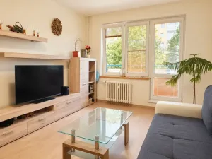 Prodej bytu 2+1, Ostrava - Výškovice, Lumírova, 61 m2