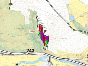 Dražba lesa, Vladislav, 1726 m2