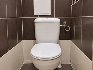 Prodej bytu 2+1, Teplice, Štúrova, 56 m2