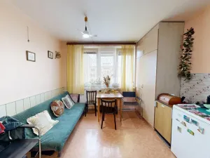 Prodej bytu 1+1, Chomutov, Zahradní, 35 m2