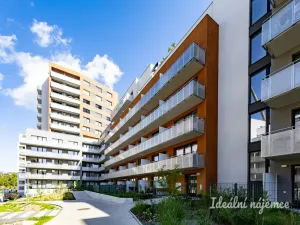 Pronájem bytu 1+kk, Praha - Vysočany, Gerstelova, 35 m2