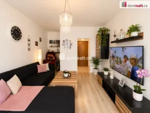 Pronájem bytu 3+1, Ústí nad Labem - Ústí nad Labem-centrum, Hoření, 70 m2