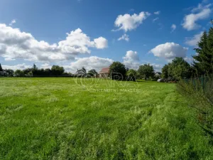 Prodej pozemku pro bydlení, Vlčice, 1000 m2