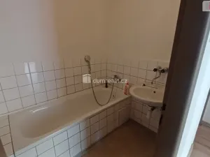 Prodej bytu 3+1, Ústí nad Labem - Střekov, Purkyňova, 78 m2