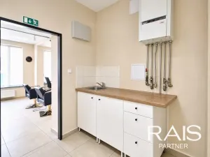 Prodej ubytování, Brno - Husovice, Svitavská, 70 m2