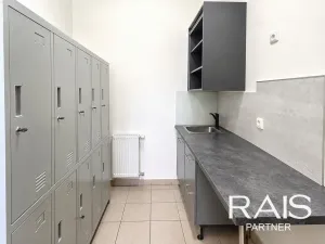 Prodej ubytování, Brno - Husovice, Svitavská, 70 m2