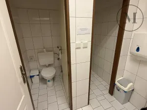 Prodej ubytování, Přední Výtoň, 423 m2