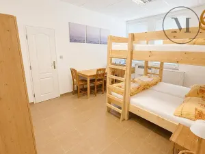 Prodej ubytování, Přední Výtoň, 423 m2