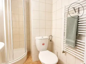 Prodej bytu 2+kk, Benešov nad Černou, 36 m2