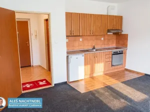 Pronájem bytu 1+kk, Albrechtice v Jizerských horách, 30 m2