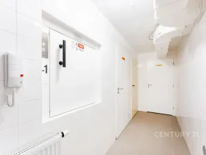 Prodej ubytování, Jáchymov, Fibichova, 578 m2