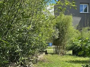 Prodej rodinného domu, Hrob, 80 m2