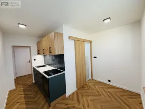 Prodej bytu 1+1, Ostrava, Lumírova, 38 m2