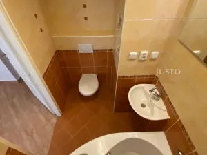 Pronájem bytu 2+1, Frýdek-Místek - Místek, 28. října, 54 m2