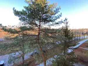 Pronájem bytu 2+1, Frýdek-Místek - Místek, 28. října, 54 m2