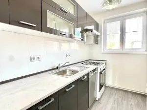 Prodej bytu 3+1, Hodonín, Seifertova, 62 m2