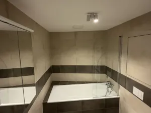 Pronájem bytu 2+kk, Ostrava - Moravská Ostrava, F. X. Riepla, 60 m2