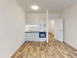 Pronájem bytu 1+kk, Ostrava - Moravská Ostrava, 30. dubna, 30 m2
