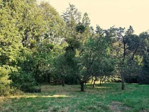 Prodej rodinného domu, Lhotka, 170 m2