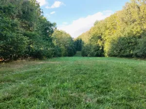 Prodej rodinného domu, Lhotka, 170 m2