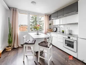 Pronájem bytu 1+1, České Budějovice - České Budějovice 3, Nerudova, 38 m2