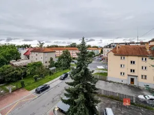 Pronájem bytu 1+1, České Budějovice - České Budějovice 3, Nerudova, 38 m2