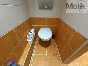 Pronájem bytu 3+1, Most, K. H. Borovského, 55 m2