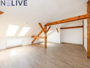 Pronájem bytu 3+1, Plzeň, Kardinála Berana, 91 m2