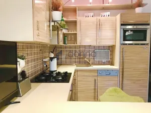 Pronájem bytu 4+kk, Praha, dr. Zikmunda Wintra, 140 m2