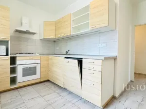 Pronájem bytu 2+1, Ústí nad Labem, Klíšská, 52 m2