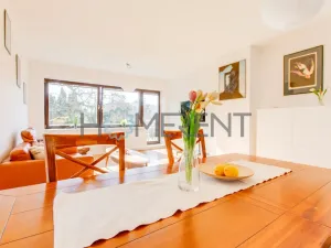 Prodej bytu 2+kk, Praha - Braník, Vlnitá, 103 m2