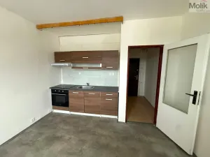 Pronájem bytu 1+1, Hrbovice, Klidná, 34 m2