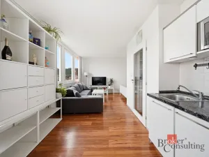 Prodej bytu 1+kk, Praha - Karlín, Molákova, 30 m2