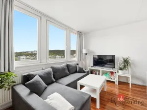 Prodej bytu 1+kk, Praha - Karlín, Molákova, 30 m2