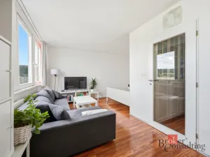 Prodej bytu 1+kk, Praha - Karlín, Molákova, 30 m2