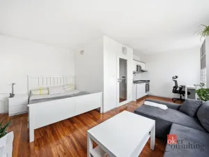 Prodej bytu 1+kk, Praha - Karlín, Molákova, 30 m2