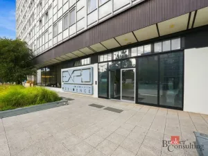 Prodej bytu 1+kk, Praha - Karlín, Molákova, 30 m2