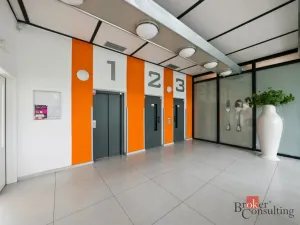 Prodej bytu 1+kk, Praha - Karlín, Molákova, 30 m2
