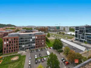 Prodej bytu 1+kk, Praha - Karlín, Molákova, 30 m2