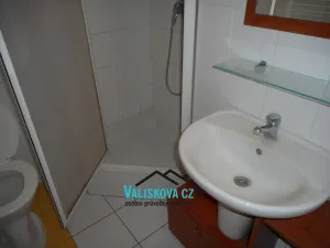 Pronájem bytu 1+kk, Kroměříž, Dobrovského, 42 m2