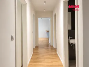 Pronájem bytu 3+kk, Praha - Žižkov, U Viktorie, 70 m2