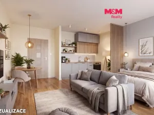 Prodej bytu 1+kk, Ústí nad Labem - Krásné Březno, U Pivovarské zahrady, 31 m2