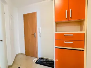 Prodej bytu 1+kk, Znojmo - Oblekovice, Oblekovická, 40 m2