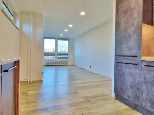 Pronájem bytu 2+kk, Ostrava - Mariánské Hory, Gen. Janka, 60 m2