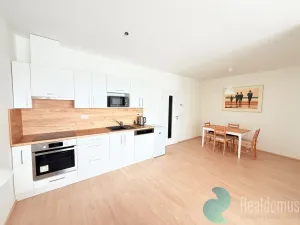 Pronájem bytu 2+kk, České Budějovice, U Lučního jezu, 57 m2