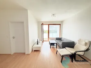 Pronájem bytu 2+kk, České Budějovice, U Lučního jezu, 57 m2
