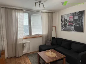 Pronájem bytu 1+1, Kyjov, Sídliště Zahradní, 33 m2