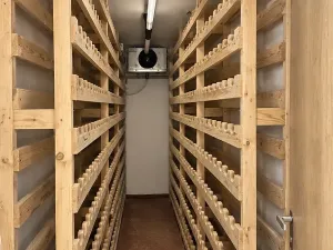 Pronájem komerční nemovitosti, Praha - Smíchov, Radlická, 76 m2