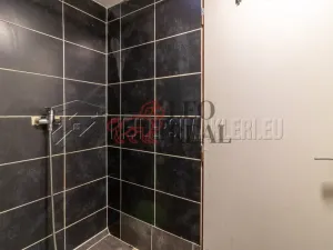 Prodej rodinného domu, Krupka, Mlýnská, 204 m2